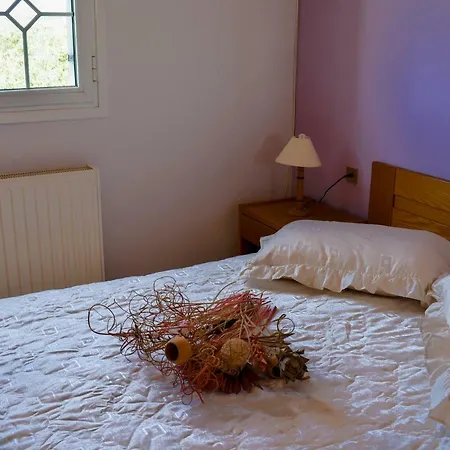 펜션 Anemos Holidays House 킵셀리