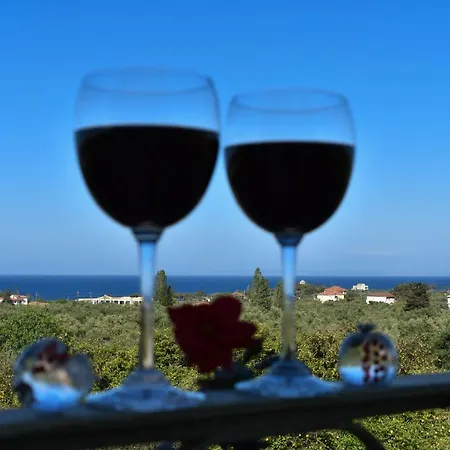 Anemos Holidays House *